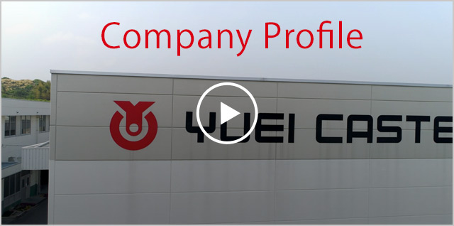 Company Profile