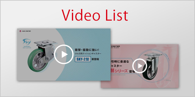 Video List